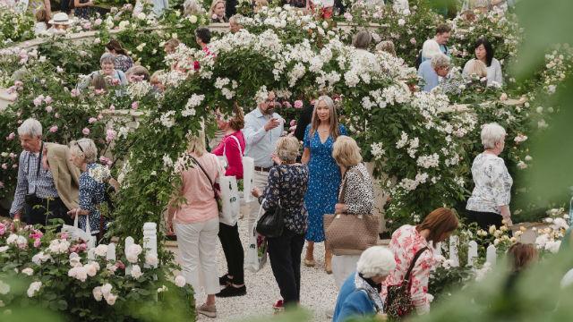 chelsea-flower-show_flower-displays-at-the-rhs-chelsea-flower-show