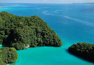 9 Nigerian Travel Creators to Follow for Inspiration