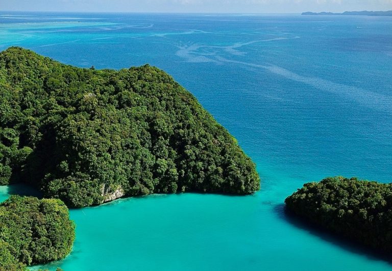 9 Nigerian Travel Creators to Follow for Inspiration